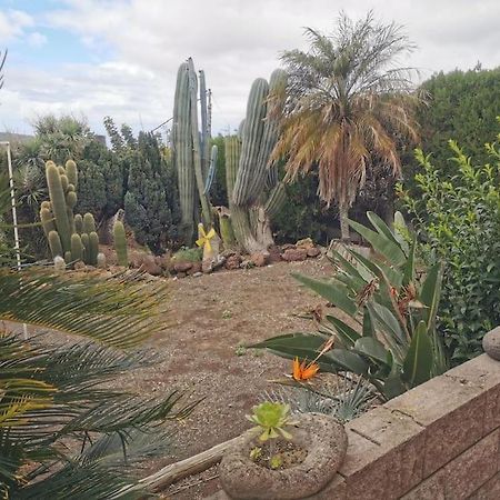 Los Cactus Santa Cruz de Tenerife Exterior photo
