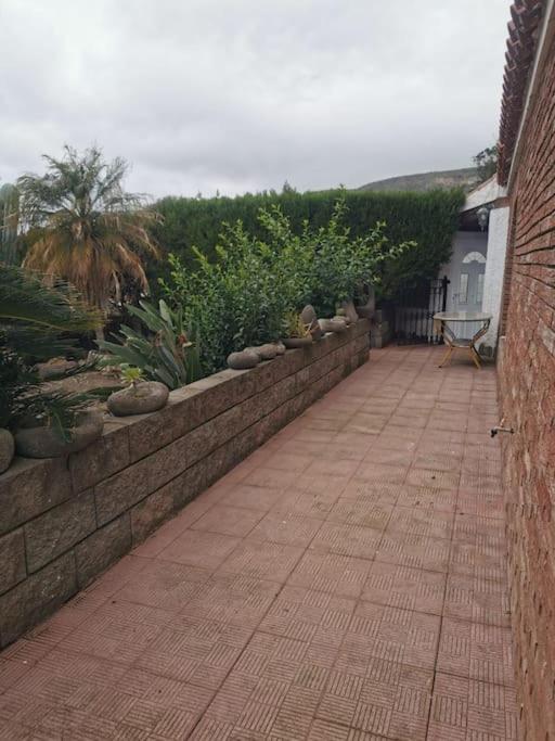 Los Cactus Santa Cruz de Tenerife Exterior photo